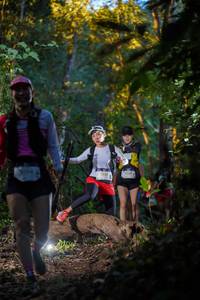 BIB: 3555
                            <button type="button" onclick="openModal(19234908)" class="btn btn-primary btn-sm float-right btn-popup" data-toggle="modal" data-target=".modal-high-quality">
                        <i class="fas fa-shopping-cart"></i> Add to Cart
                    </button>
                                            <button type="button" onclick="isThisMe(19234908, true)" class="btn btn-success btn-sm float-right btn-popup btn-isme hidden" data-toggle="tooltip" data-placement="bottom" title="นี่คือรูปของคุณใช่ไหม คลิกที่นี่เพื่อเอาเข้าอัลบั้ม">
                        <i class="fas fa-plus"></i> Add to album
                    </button>
                    <button type="button" onclick="isThisMe(19234908, false)" class="btn btn-warning btn-sm float-right btn-popup btn-isnotme hidden">
                        <i class="fas fa-ban"></i> Remove from album
                    </button>